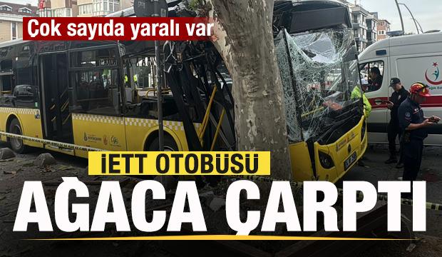 İETT otobüsü ağaca çarptı! Yaralılar var