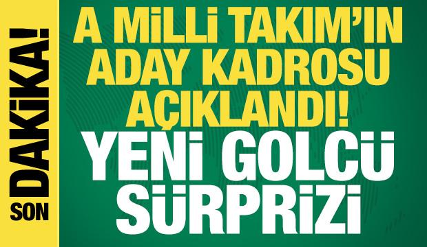 A Milli Takım'ın aday kadrosu açıklandı