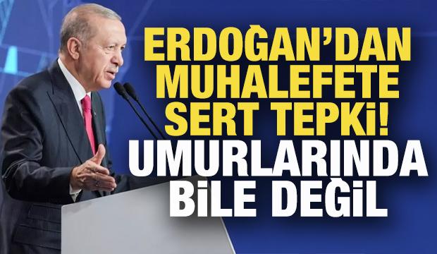 Başkan Erdoğan'dan muhalefete çevre tepkisi!