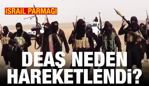 DEAŞ Ter&ouml;r &Ouml;rg&uuml;t&uuml; ni&ccedil;in hareketlendi?