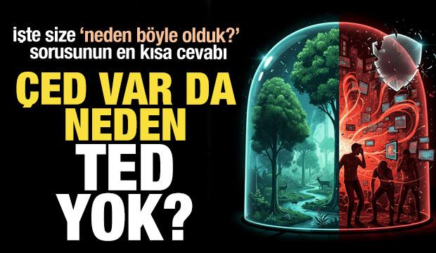 İ&ccedil;erikten &Ccedil;ED&rsquo;e, ekrandan insana: &Ccedil;ED varda TED neden yok?