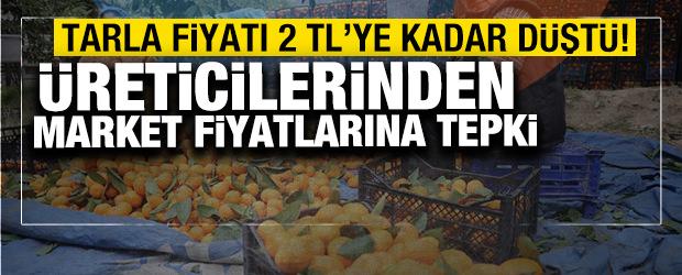 Mandalina &uuml;reticilerinden market fiyatlarına tepki