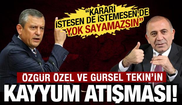 &Ouml;zg&uuml;r &Ouml;zel ve G&uuml;rsel Tekin arasında 'kayyum' atışması: O s&ouml;zlere tepki gecikmedi!