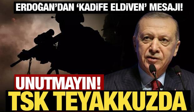 Erdoğan'dan 'kadife eldiven' mesajı! Unutmayın, TSK teyakkuzda