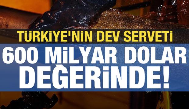 Türkiye'nin dev serveti: 600 milyar dolar değerinde!