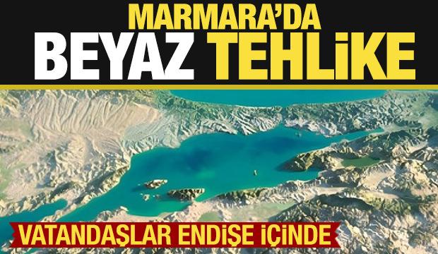 Marmara'da 'beyaz' tehlike! Günden güne artıyor