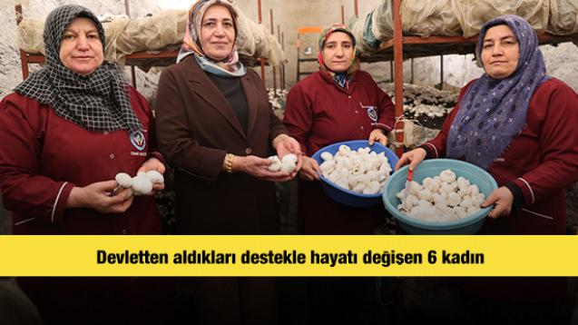 Devletten aldıkları destekle hayatı değişen 6 kadın 