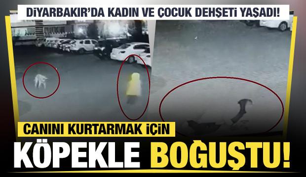 Diyarbakır'da dehşet: Canını kurtarmak için köpekle boğuştu 