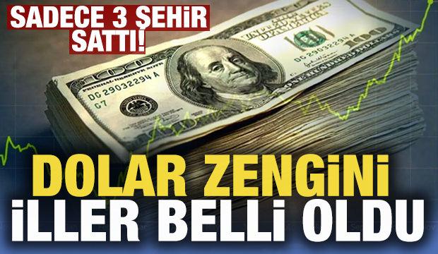 Türkiye'nin dolar zengini illeri belli oldu