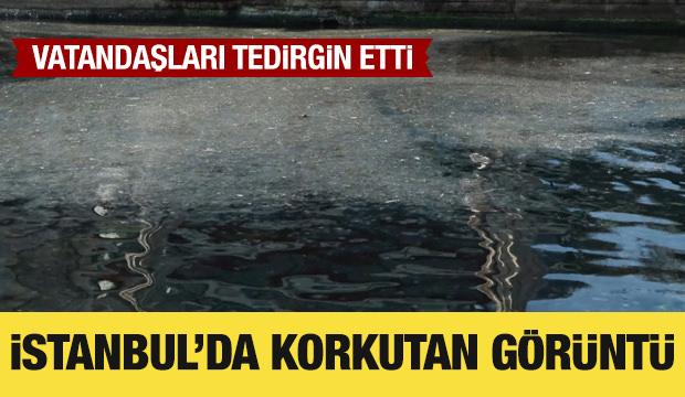 Moda Sahili'nde tedirgin eden görüntü