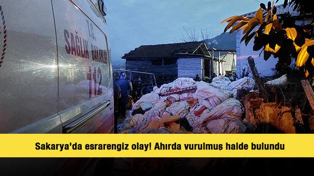 Sakarya'da esrarengiz olay! Ahırda vurulmuş halde bulundu