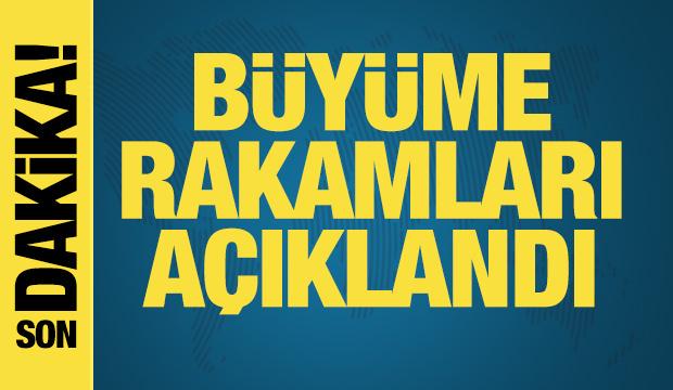 Türkiye ekonomisinin 2024 büyüme oranı açıklandı