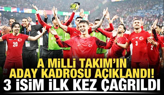 A Milli Takım'ın aday kadrosu açıklandı!