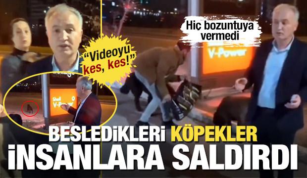 İbretlik görüntü: Besledikleri köpekler insanlara saldırdı!