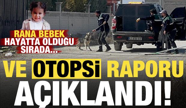 Rana bebeğin ölümüne ilişkin otopsi raporu açıklandı! Rana hayatta olduğu sırada...