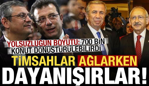 Timsahlar ağlaşırken dayanışırlar…