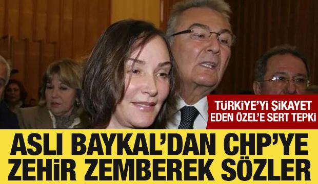 Aslı Baykal'dan CHP'ye zehir zemberek sözler