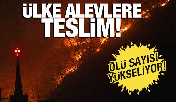 Güney Kore'deki orman yangınlarında ölü sayısı 15'e yükseldi