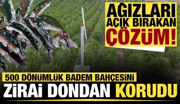 İlginç çözüm şaşkına çevirdi! Badem bahçesini zirai dondan korudu