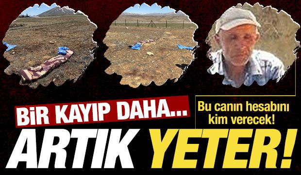 Kayseri'de başıboş köpeklerin saldırdığı 72 yaşındaki adam yaşamını yitirdi