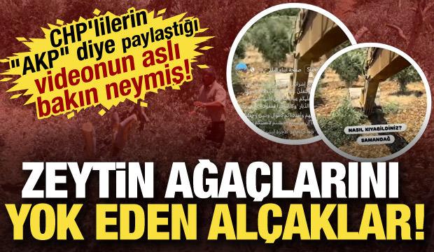 Muhaliflerin algı operasyonu çöktü! Filistin'deki ağaç katliamı Hatay'da gibi gösterildi