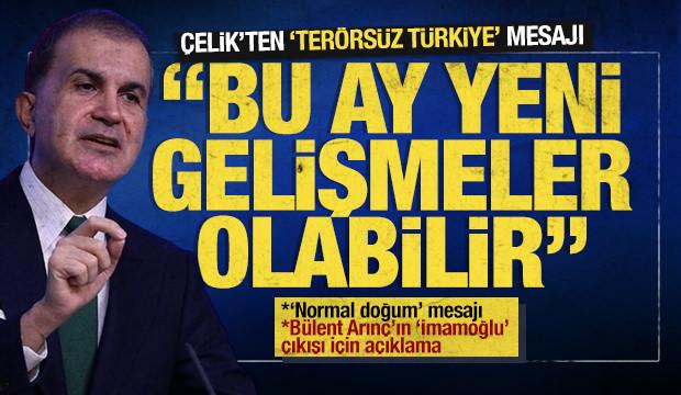 SON DAKİKA: Çelik'ten 'Terörsüz Türkiye' açıklaması: 'Bu ay yeni gelişmeler olabilir'