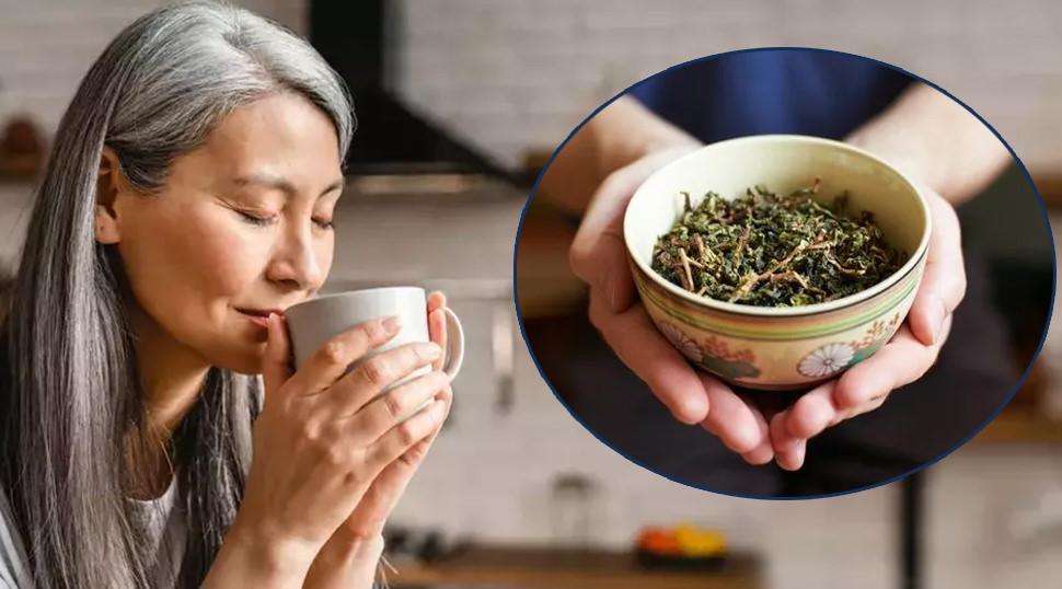 Japon araştırmacılar açıkladı: Yeşil çay içmek demans riskini azaltıyor!