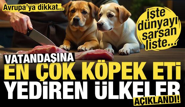 Vatandaşına en çok köpek eti yediren ülkeler açıklandı! İşte dünyayı sarsan liste!