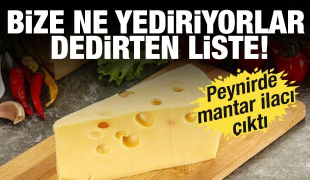 Bize ne yediriyorlar dedirten liste! Peynirde mantar ilacı çıktı