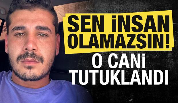 Sen insan olamazsın!