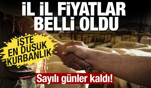 Sayılı günler kaldı! İl il kurban fiyatları belli oldu: İşte en düşük kurban