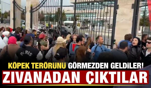 Sözde hayvan severler Anayasa Mahkemesi'ne zorla girdi