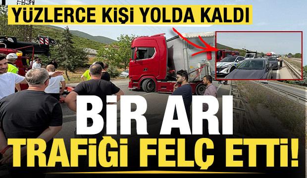 Bir arı, trafiği felç etti! Yüzlerce kişi yolda kaldı