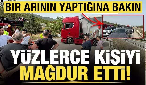Bir arı, trafiği felç etti! Yüzlerce kişi yolda kaldı