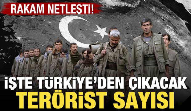 Türkiye'den çıkacak terörist sayısı belli oldu!