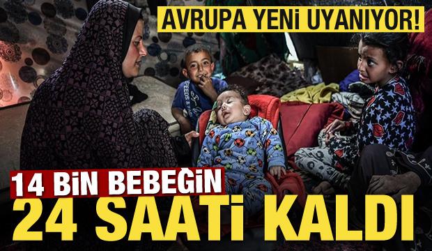 14 bin bebeğin 24 saati kaldı! Avrupa yeni uyanıyor