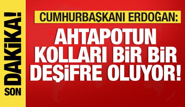 Cumhurbaşkanı Erdoğan'dan İstanbul mesajı: Ahtapotun kolları bir bir deşifre oluyor