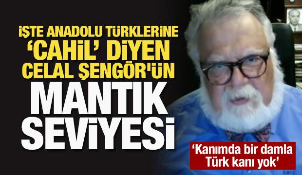 İşte Hegel'e 'aptal' diyen Celal Şengör'ün mantık seviyesi