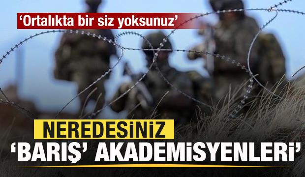 Neredesiniz “Barış Akademisyenleri”?