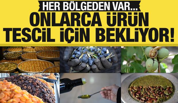 Türkiye'nin 81 ürünü AB'den coğrafi işaret tescili bekliyor