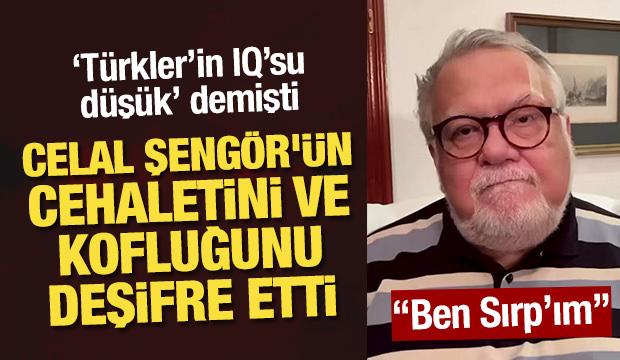 "Türkler'in IQ'su düşük " diyen Celal Şengör'ün cehaletini ve kofluğunu gözler önüne serdi