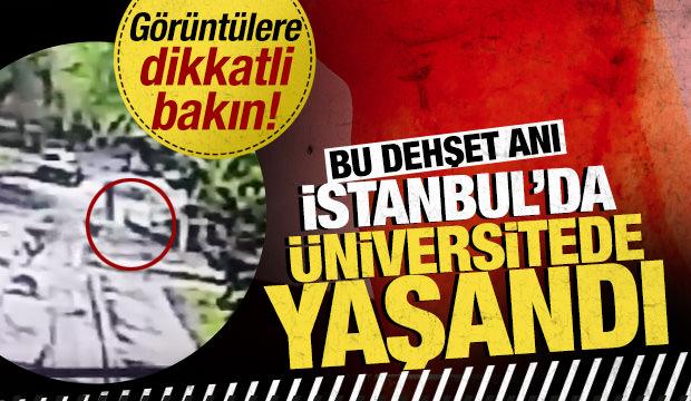 Üniversite kampüsünde başıboş köpeklerin saldırına uğrayan öğrenci yaralandı