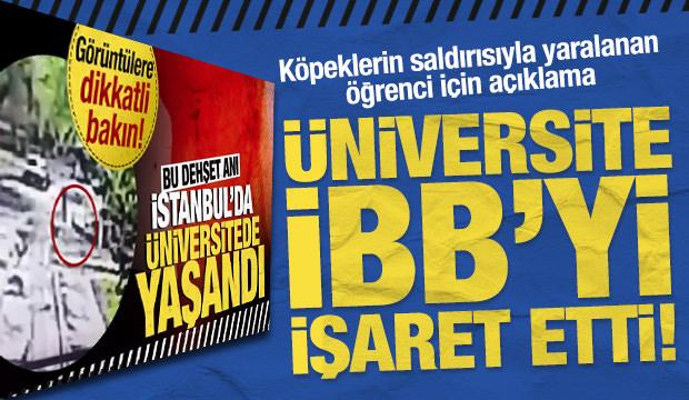 YTÜ'den üniversiteli Gözde'ye saldıran köpeklerle ilgili açıklama
