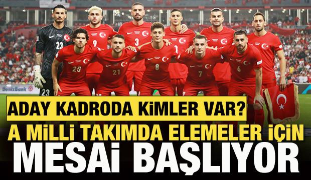 A Milli Takım'da mesai başlıyor! Aday kadroda kimler var?