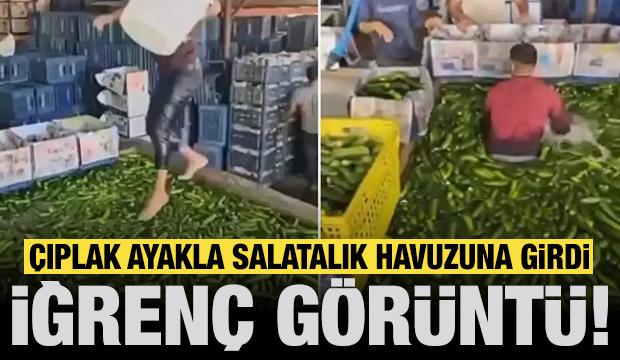 Adana'da iğrenç görüntüler: Çıplak ayakla salatalık havuzuna girdi