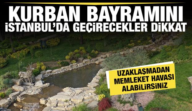 Kurban Bayramı'nda memleketine gidemeyeceklere özel rota