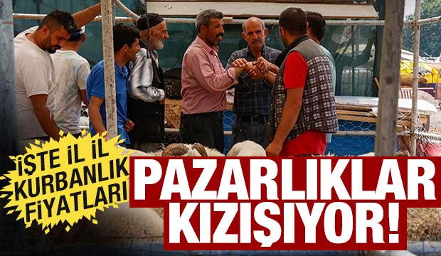 Pazarlıklar hız kesmeden devam ediyor! İşte il il kurbanlık fiyatları