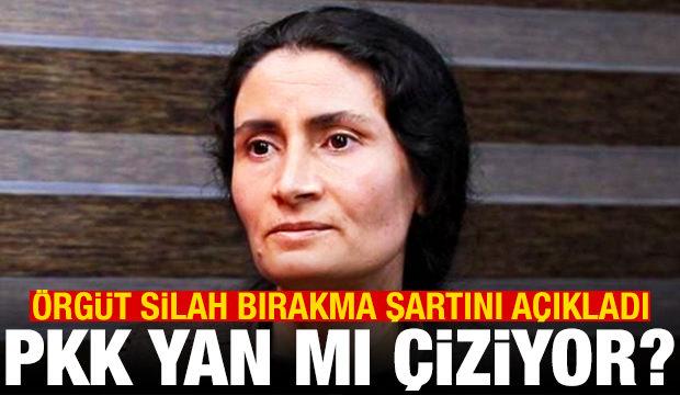 Terör örgütü PKK, silah bırakma şartını açıkladı