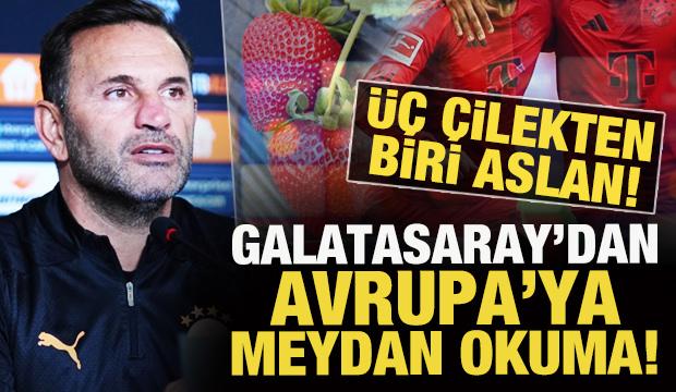 Galatasaray'dan Avrupa'ya meydan okuma! Üç çilekten biri Aslan...
