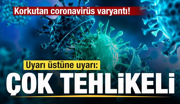 Korkutan coronavirüs varyantı! Uyarı üstüne uyarı: Çok tehlikeli
